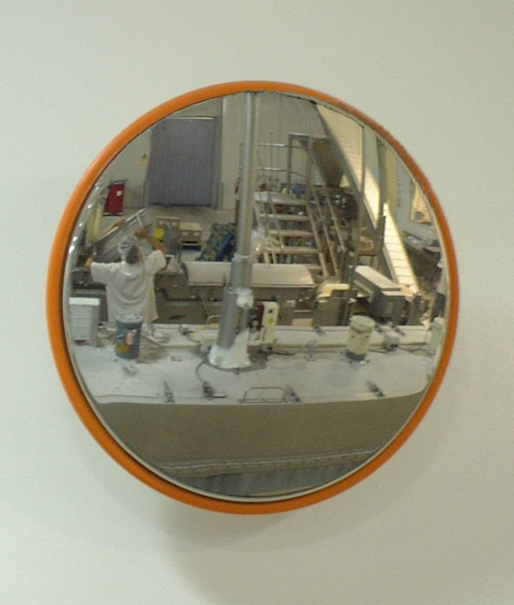 Stainless Steel Food Processing Mirror 800mm
