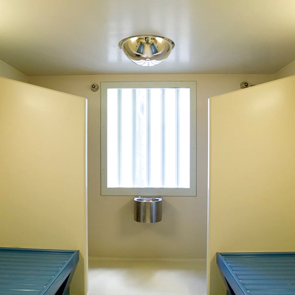 Stainless Steel Ceiling Dome Mirror 500mm - The Safe Havens