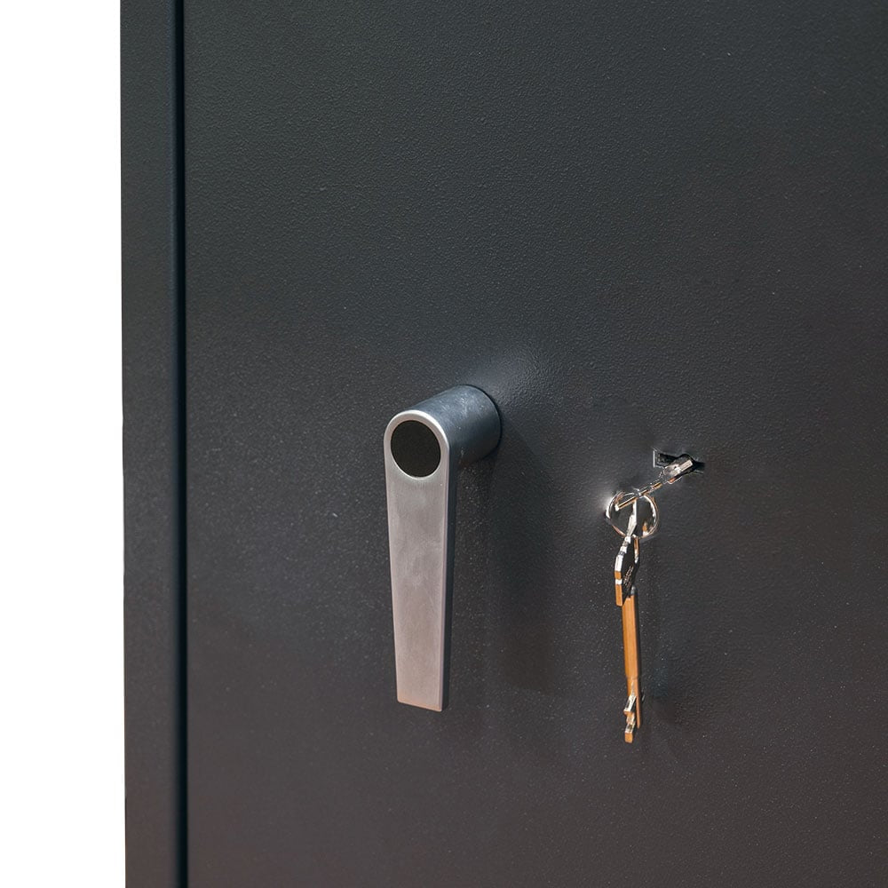 Warden LFS – 6 Gun Key Locking - The Safe Havens