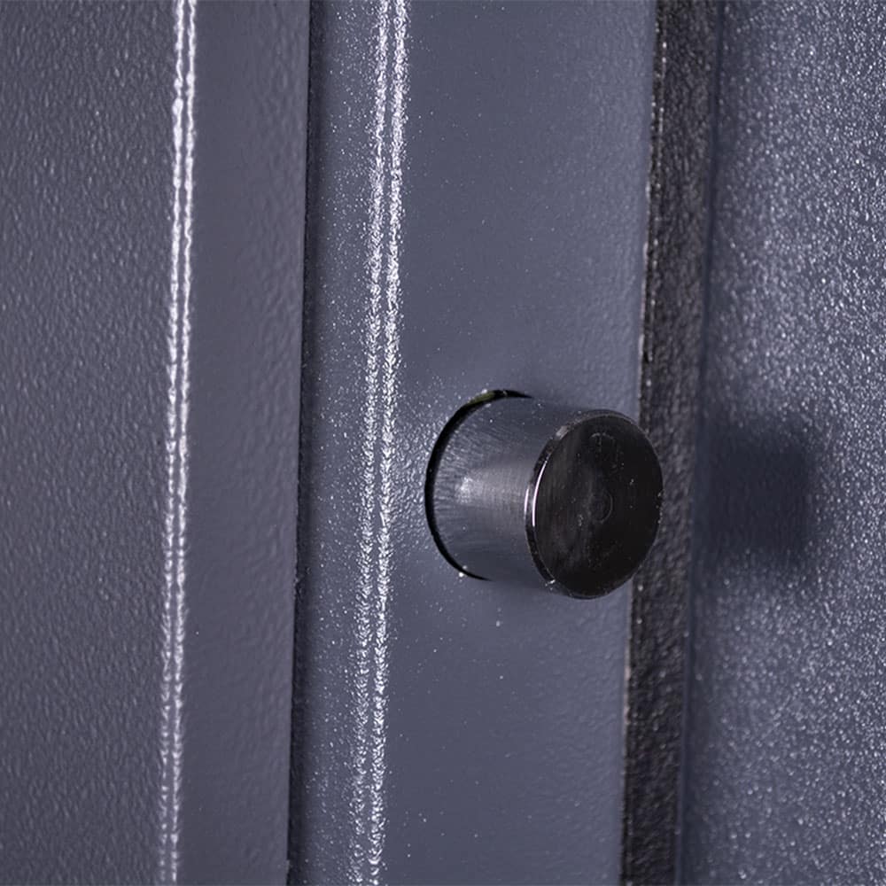 Warden LFS – 6 Gun Key Locking - The Safe Havens